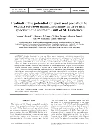 Evaluating the Potential for Grey Seal Predation to Explain Elevated Natural Mortality in Three Fish Species in the Southern Gulf of St