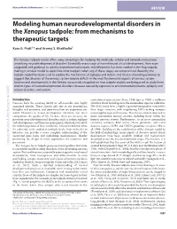 Modeling Human Neurodevelopmental Disorders in the Xenopus Tadpole: from Mechanisms to Therapeutic Targets