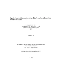 Spatio-Temporal Integration of an Object's Surface Information in Mid-Level Vision