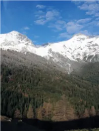478 How to Balance Forestry and Biodiversity Conservation