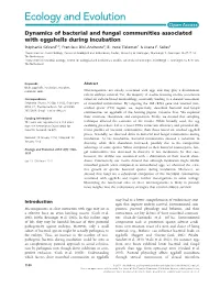 Dynamics of Bacterial and Fungal Communities Associated with Eggshells During Incubation Stephanie� Grizard1,2, Francisco Dini-Andreote2, B