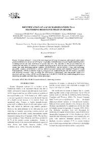 Identification of a Scar Marker Linked to a Shattering Resistance Trait in Sesame