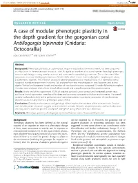 A Case of Modular Phenotypic Plasticity in the Depth