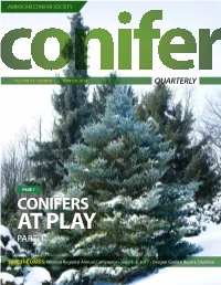 Conifers at Play Part 1