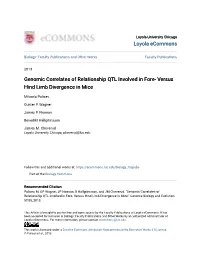 Genomic Correlates of Relationship QTL Involved in Fore- Versus Hind Limb Divergence in Mice