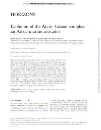 HORIZONS Evolution of the Arctic Calanus Complex