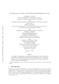 Looking More Closely to the Rabinovich-Fabrikant System