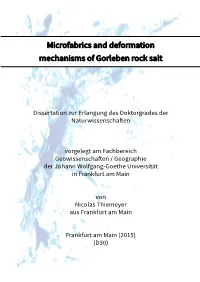 Microfabrics and Deformation Mechanisms of Gorleben Rock Salt