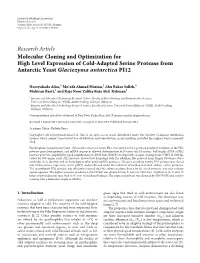 Molecular Cloning and Optimization for High Level Expression of Cold-Adapted Serine Protease from Antarctic Yeast Glaciozyma Antarctica PI12