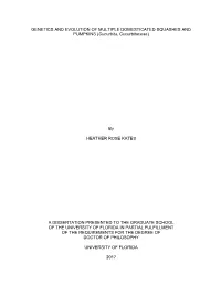 University of Florida Thesis Or Dissertation Formatting