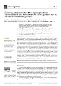 Unraveling a Lignocellulose-Decomposing Bacterial Consortium from Soil Associated with Dry Sugarcane Straw by Genomic-Centered Metagenomics