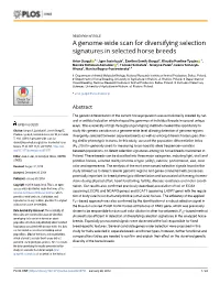 A Genome-Wide Scan for Diversifying Selection Signatures in Selected Horse Breeds