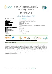 Human Stromal Antigen 1 (STAG1) Cohesin Subunit SA-1 a Target Enabling Package (TEP)