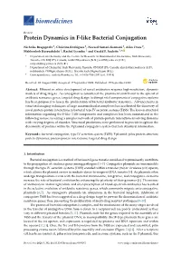 Protein Dynamics in F-Like Bacterial Conjugation