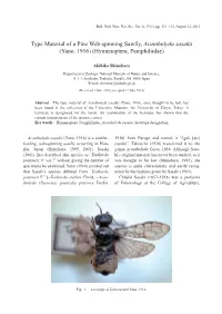 Type Material of a Pine Web-Spinning Sawfly, Acantholyda Sasakii (Yano