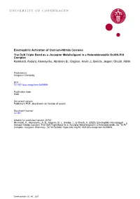 Acs.Inorgchem.0C00654.Pdf
