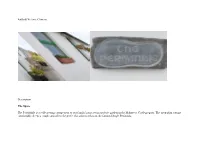 Airbnb Website Content Description the Space the Periwinkle Is a Self