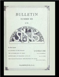 Bulletin Number Six