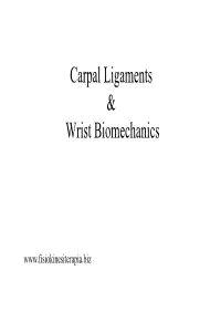 Carpal Ligaments & Wrist Biomechanics