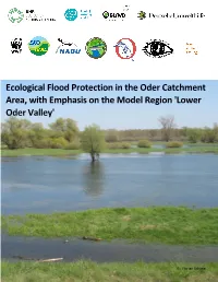 Ecological Flood Protection in the Oder Catchment Area, with Emphasis on the Model Region 'Lower