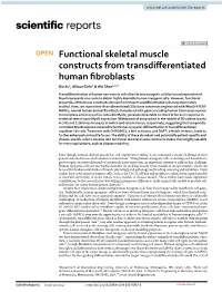 Functional Skeletal Muscle Constructs from Transdifferentiated Human Fibroblasts