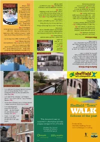 Sheffield Town Walk