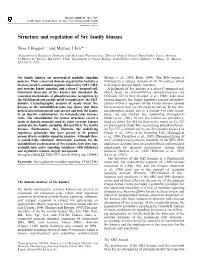 Structure and Regulation of Src Family Kinases