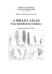 A MILLET ATLAS Some Identification Guidance