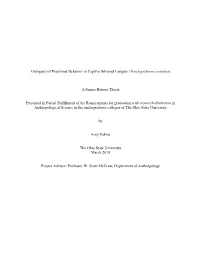 Ontogeny of Positional Behavior in Captive Silvered Langurs (Trachypithecus Cristatus)