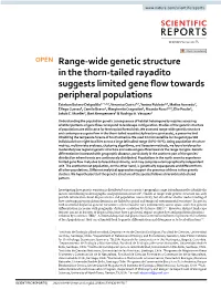 Range-Wide Genetic Structure in the Thorn-Tailed Rayadito Suggests