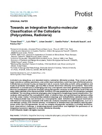 Towards an Integrative Morpho-Molecular Classification of the Collodaria (Polycystinea, Radiolaria)