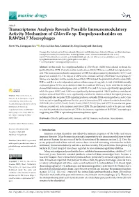 Transcriptome Analysis Reveals Possible Immunomodulatory Activity Mechanism of Chlorella Sp