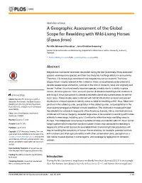 A Geographic Assessment of the Global Scope for Rewilding with Wild-Living Horses (Equus Ferus)