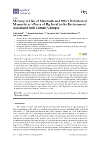 Mercury in Hair of Mammoth and Other Prehistorical Mammals As a Proxy of Hg Level in the Environment Associated with Climate Changes