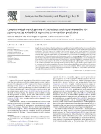 Complete Mitochondrial Genome of Concholepas Concholepas Inferred by 454 Pyrosequencing and Mtdna Expression in Two Mollusc Populations