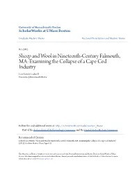 Sheep and Wool in Nineteenth-Century Falmouth, MA: Examining the Collapse of a Cape Cod Industry Leo Patrick Ledwell University of Massachusetts Boston