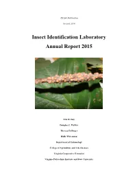 2015.Pdf (1.928Mb)