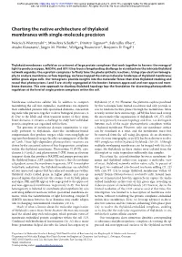 Charting the Native Architecture of Thylakoid Membranes with Single-Molecule Precision
