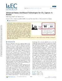 Advanced Amino Acid-Based Technologies