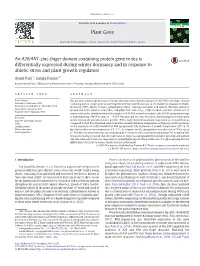 An A20/AN1-Zinc-Finger Domain Containing Protein Gene in Tea Is