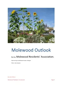 Molewood Outlook