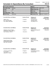 Schedule G: Expenditures by Consultant Sch-G