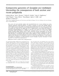Comparative Genomics of Gossypium and Arabidopsis: Unraveling the Consequences of Both Ancient and Recent Polyploidy
