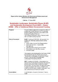 Report of the Cabinet Member for Environment Enhancement and Infrastructure Management