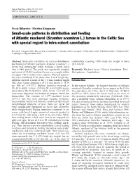 Small-Scale Patterns in Distribution and Feeding of Atlantic Mackerel (Scomber Scombrus L.) Larvae in the Celtic Sea with Special Regard to Intra-Cohort Cannibalism