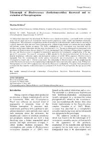 Discovered and Re- Evaluation of Pleurophragmium