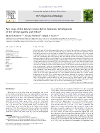 Fate Map of the Dental Mesenchyme Dynamic Development Of