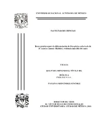 Universidad Nacional Autónoma De México