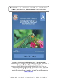 Orthoptera Acrididae