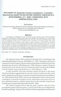 PHYLOGENY of Glyphodes Guenee (Lepidoptera: Crambidae
